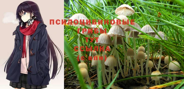 ГАЛЛЮЦИНОГЕННЫЕ ГРИБЫ Арсеньев