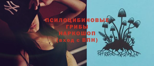 ГАЛЛЮЦИНОГЕННЫЕ ГРИБЫ Арсеньев