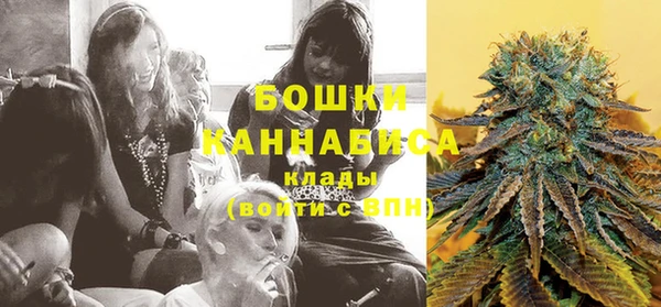 ГАЛЛЮЦИНОГЕННЫЕ ГРИБЫ Арсеньев
